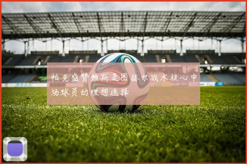 帕克盛赞赖斯是图赫尔战术核心中场球员的理想选择